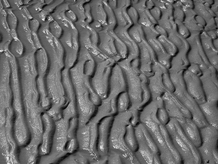 Sand Patterns - Pelican Beach, Grand Bahamas Island   2005
