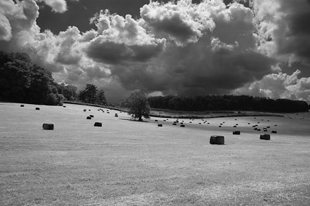 Black Bales - Waddesdon Manor, England   2007