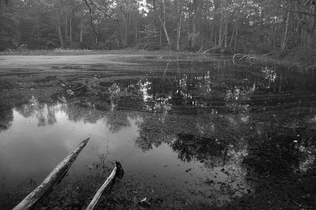 Early Morning – Seidman Park, Michigan   2007