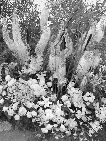 A Splendid Garden HCFS (5) BW - Hampton Court, England   2003