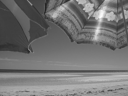 Double Umbrella - Pelican Beach, Grand Bahamas Island   2005
