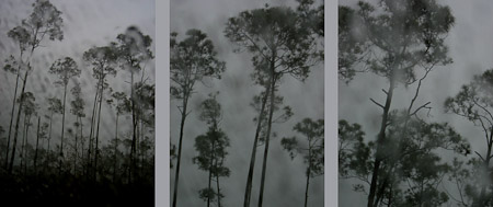 Bahamas rainstorm   2009